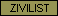 Ziviler Mitarbeiter
