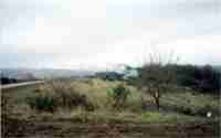 Baumholder019