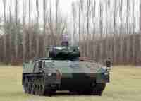 Puma_Wiese_1