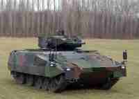 Puma_Wiese_2